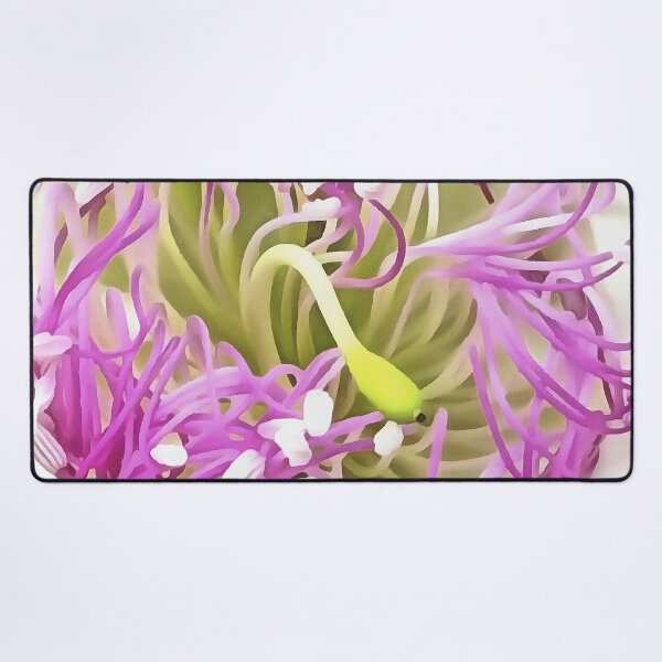 Item preview, Caper Flower Blossom Botanical Art designed and sold by taiche.