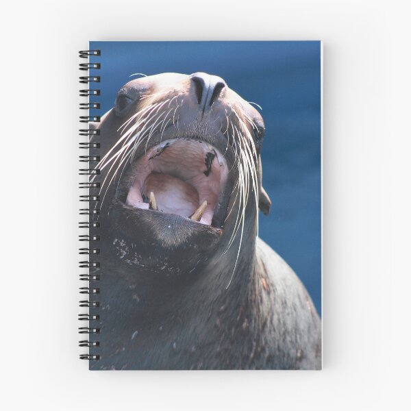 Item preview, Sea Lion designed and sold by Schummi.