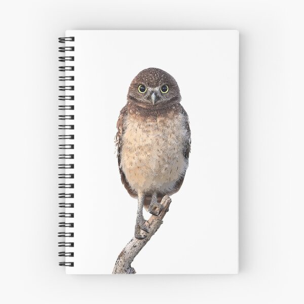 Item preview, Judgmental Owl designed and sold by mlorenz.