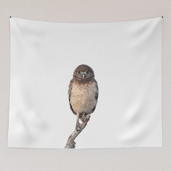 Item preview, Judgmental Owl designed and sold by mlorenz.