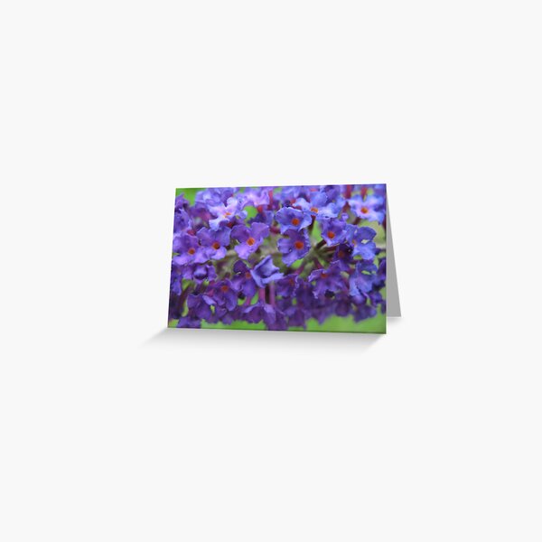 Blue Cluster Greeting Card