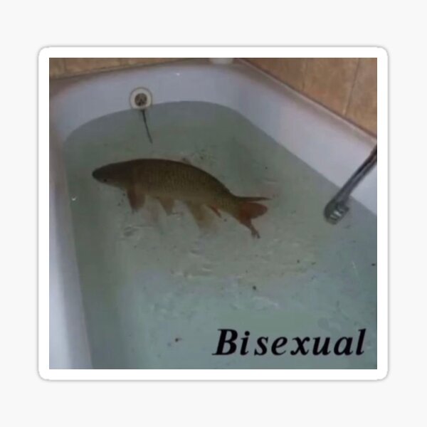 Aperçu de l'œuvre poisson bisexué créée et vendue par AllieBop.