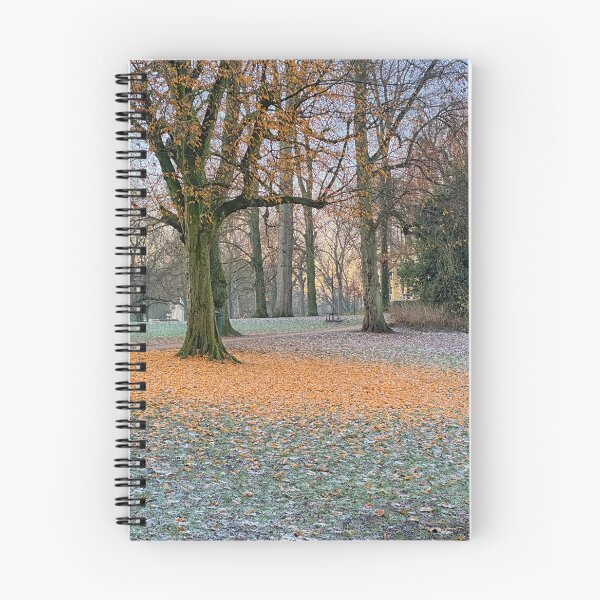 Item preview, Tree has lost leafs in fall park designed and sold by Photopat.