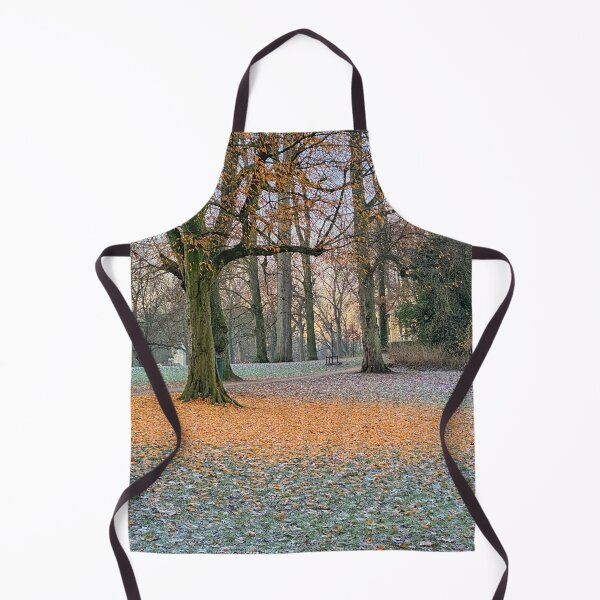 Item preview, Tree has lost leafs in fall park designed and sold by Photopat.