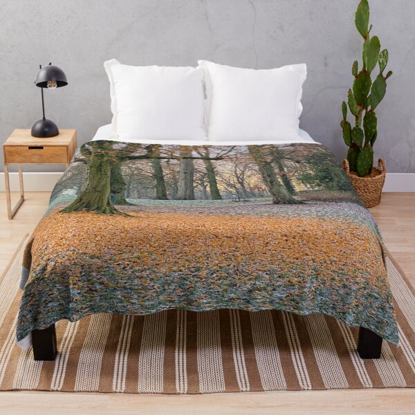 Item preview, Tree has lost leafs in fall park designed and sold by Photopat.
