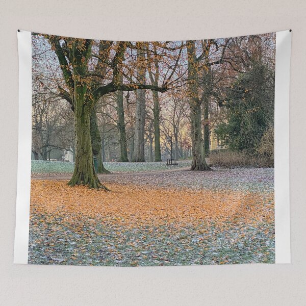 Item preview, Tree has lost leafs in fall park designed and sold by Photopat.
