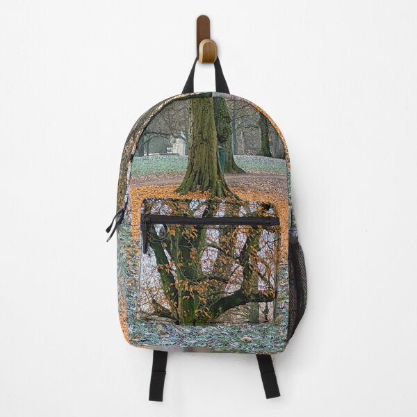 Item preview, Tree has lost leafs in fall park designed and sold by Photopat.