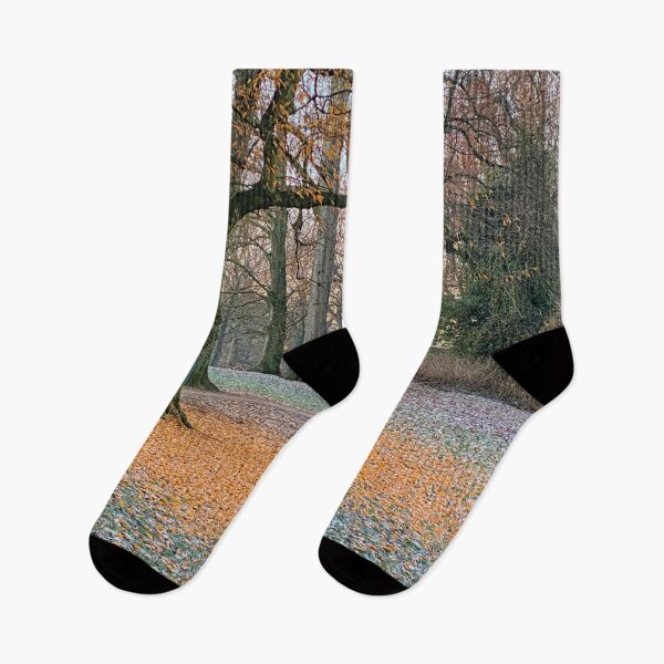 Item preview, Tree has lost leafs in fall park designed and sold by Photopat.