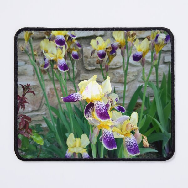 Item preview, Lilies in front of the wall designed and sold by Gourmetkater.