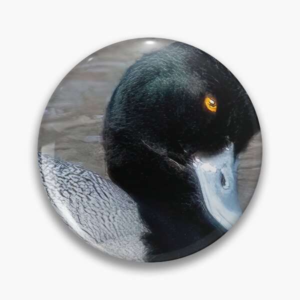 Item preview, Lesser Scaup Duck in Spring designed and sold by HadsStudio.