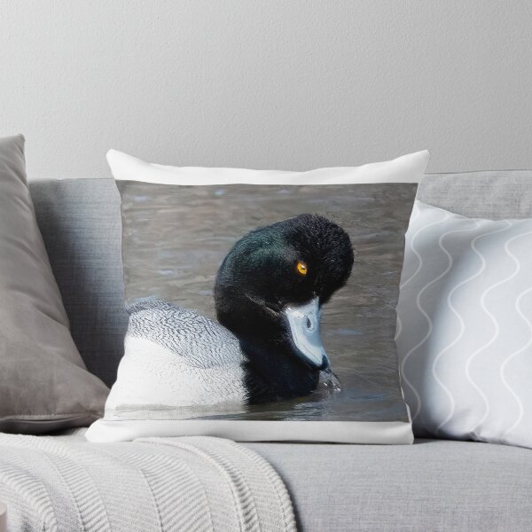 Item preview, Lesser Scaup Duck in Spring designed and sold by HadsStudio.