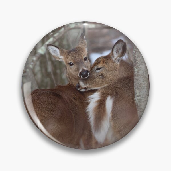 Item preview, Whitetail Doe with Yearling designed and sold by LisaNaturePhoto.