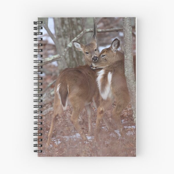 Item preview, Whitetail Doe with Yearling designed and sold by LisaNaturePhoto.