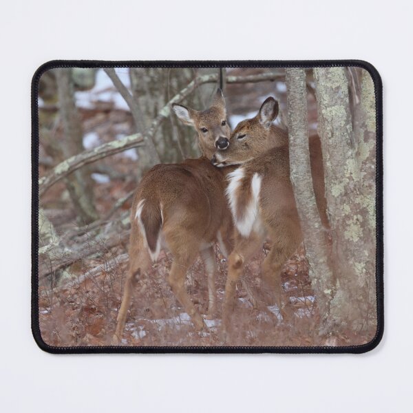 Item preview, Whitetail Doe with Yearling designed and sold by LisaNaturePhoto.