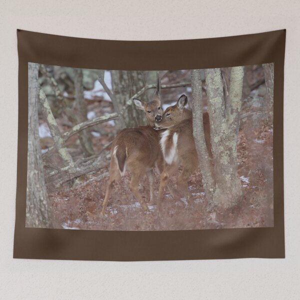 Item preview, Whitetail Doe with Yearling designed and sold by LisaNaturePhoto.