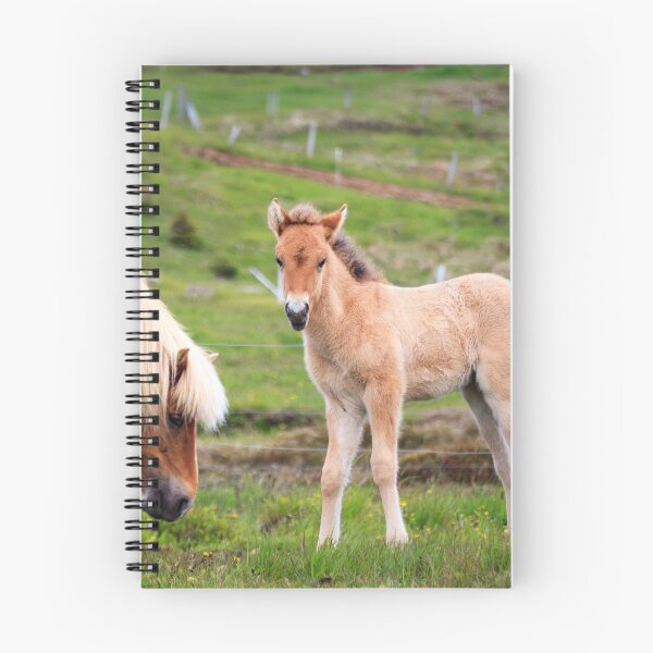 Item preview, Icelandic Foal designed and sold by Silken Photography.