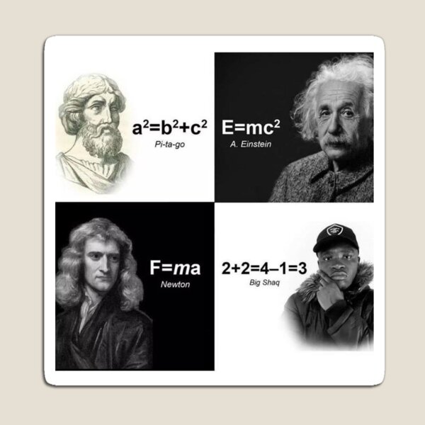 MAFS Magnet