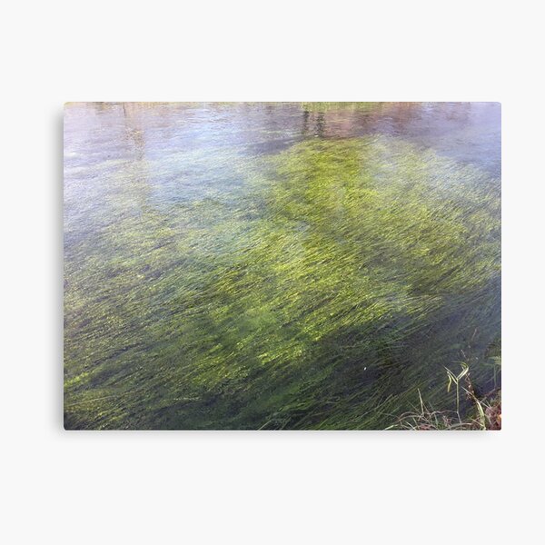 Wasabi gawa Canvas Print