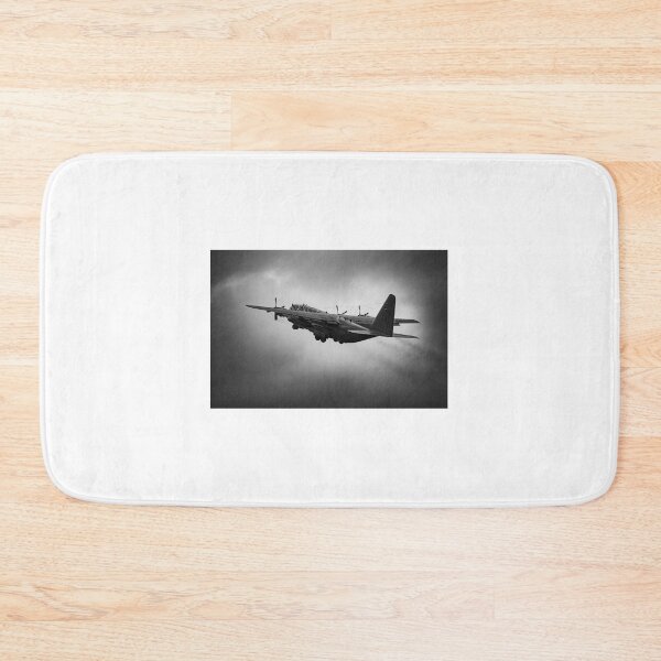 Item preview, Military airplane designed and sold by Everydayphoto.