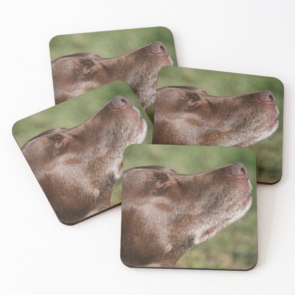 Item preview, Cute Chocolate Labrador Dog designed and sold by Madcatsanddogs.
