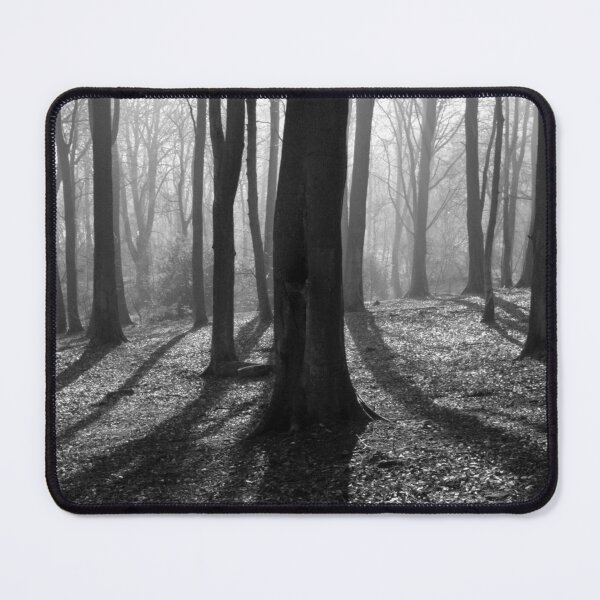 Item preview, Sunlight through the trees designed and sold by StelleryART.