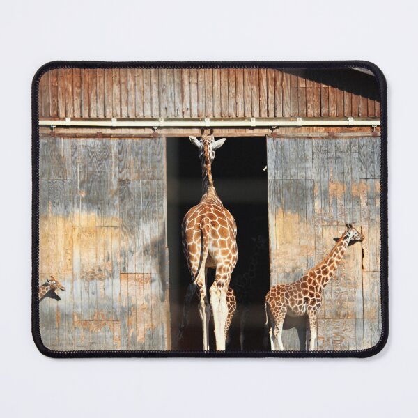 Item preview, Giraffe Heading Indoors designed and sold by Cynthia48.