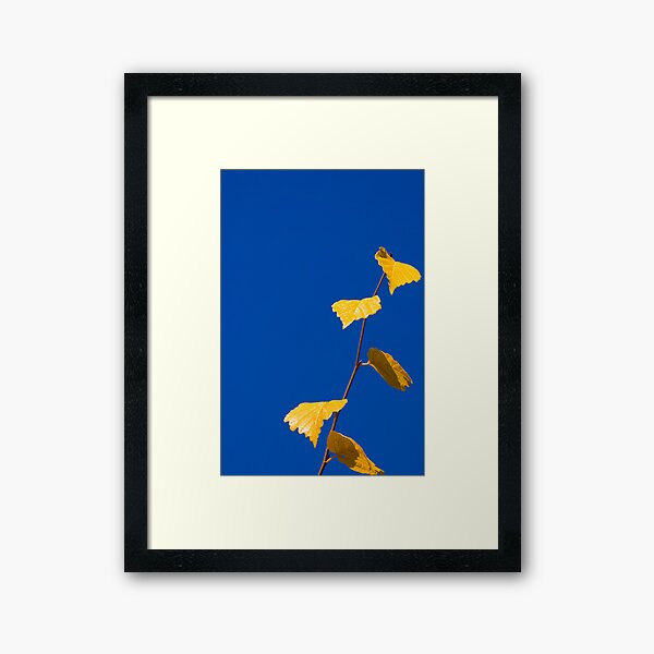 Fall Leaves Framed Art Print