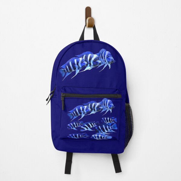 Item preview, FRONTOSA ZAIRE BLUE - FRONTOSA CICHLID designed and sold by Danicus666.