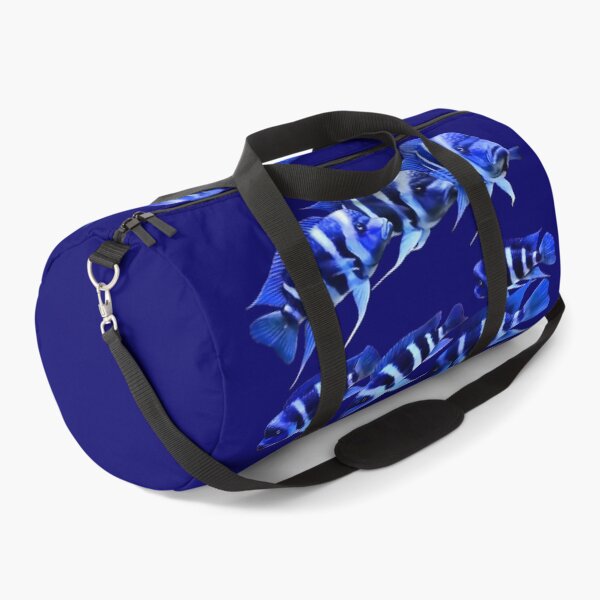 Item preview, FRONTOSA ZAIRE BLUE - FRONTOSA CICHLID designed and sold by Danicus666.
