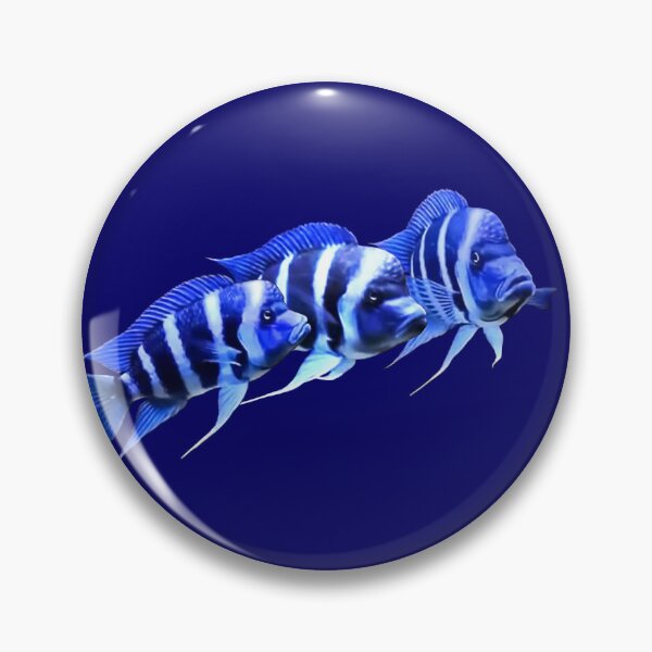 Item preview, FRONTOSA ZAIRE BLUE - FRONTOSA CICHLID designed and sold by Danicus666.