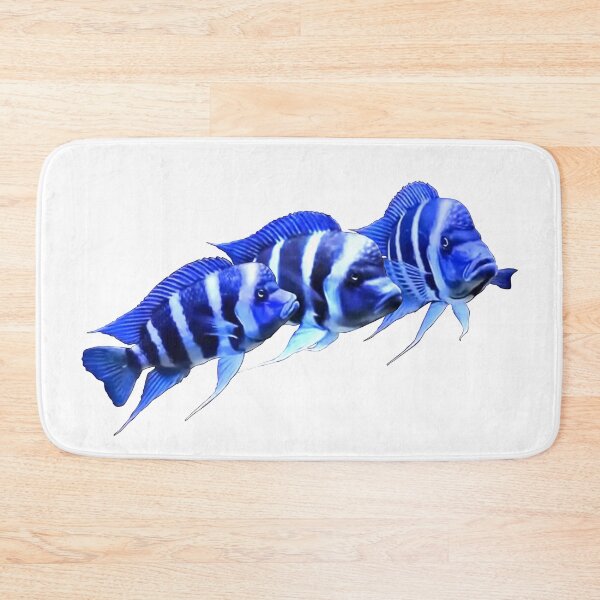 Item preview, FRONTOSA ZAIRE BLUE - FRONTOSA CICHLID designed and sold by Danicus666.