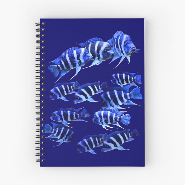 Item preview, FRONTOSA ZAIRE BLUE - FRONTOSA CICHLID designed and sold by Danicus666.