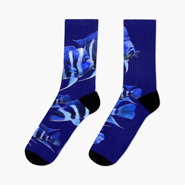 Item preview, FRONTOSA ZAIRE BLUE - FRONTOSA CICHLID designed and sold by Danicus666.