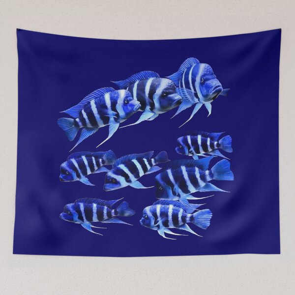 Item preview, FRONTOSA ZAIRE BLUE - FRONTOSA CICHLID designed and sold by Danicus666.
