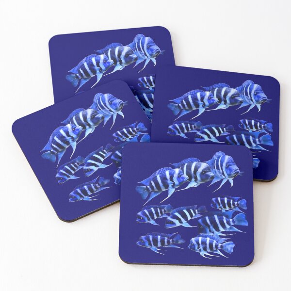 Item preview, FRONTOSA ZAIRE BLUE - FRONTOSA CICHLID designed and sold by Danicus666.