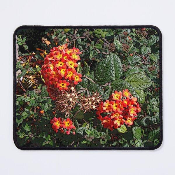 Item preview, Botanical's 9 designed and sold by John Schneider.