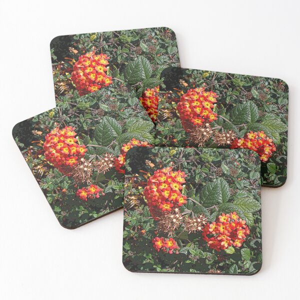 Item preview, Botanical's 9 designed and sold by John Schneider.