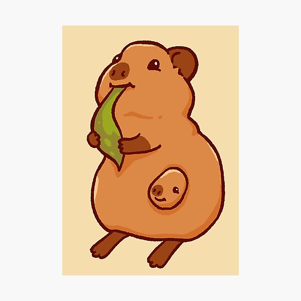 Cute capybara art, illustration seamless pattern Photographic