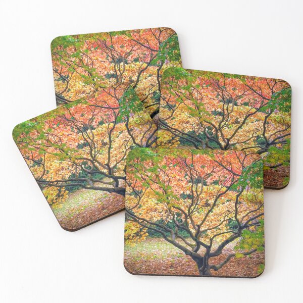 Item preview, The Acer Glade - Westonbirt Arboretum designed and sold by Viv Thompson Photography .