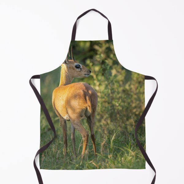 Item preview, Steenbok Botswana Africa designed and sold by PhotoArt by Joan Carroll.