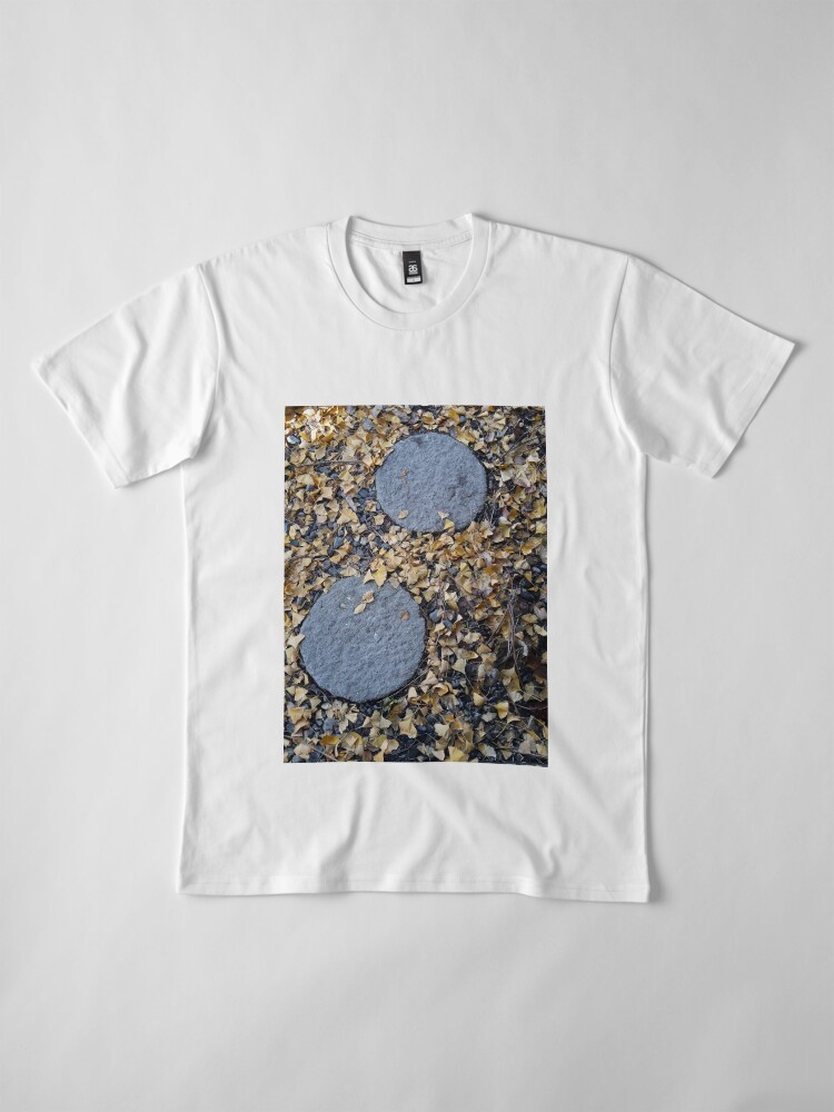Alternate view of pas pas Premium T-Shirt