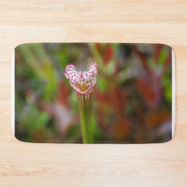 Item preview, Close up of Whitetop Pitcherplant designed and sold by TinyDinoDesigns.