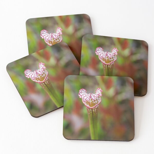 Item preview, Close up of Whitetop Pitcherplant designed and sold by TinyDinoDesigns.