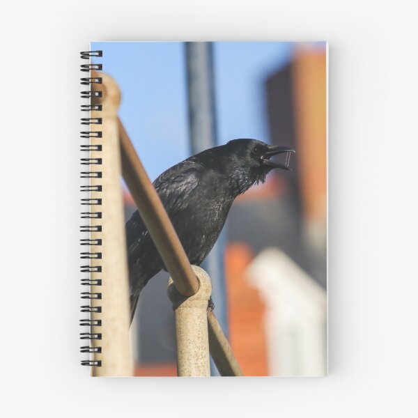 Item preview, Territorial crow designed and sold by GreyFeatherPhot.