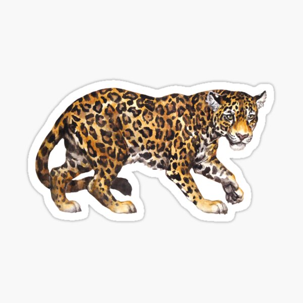 Item preview, Jaguar watercolor designed and sold by P-Jaworska.