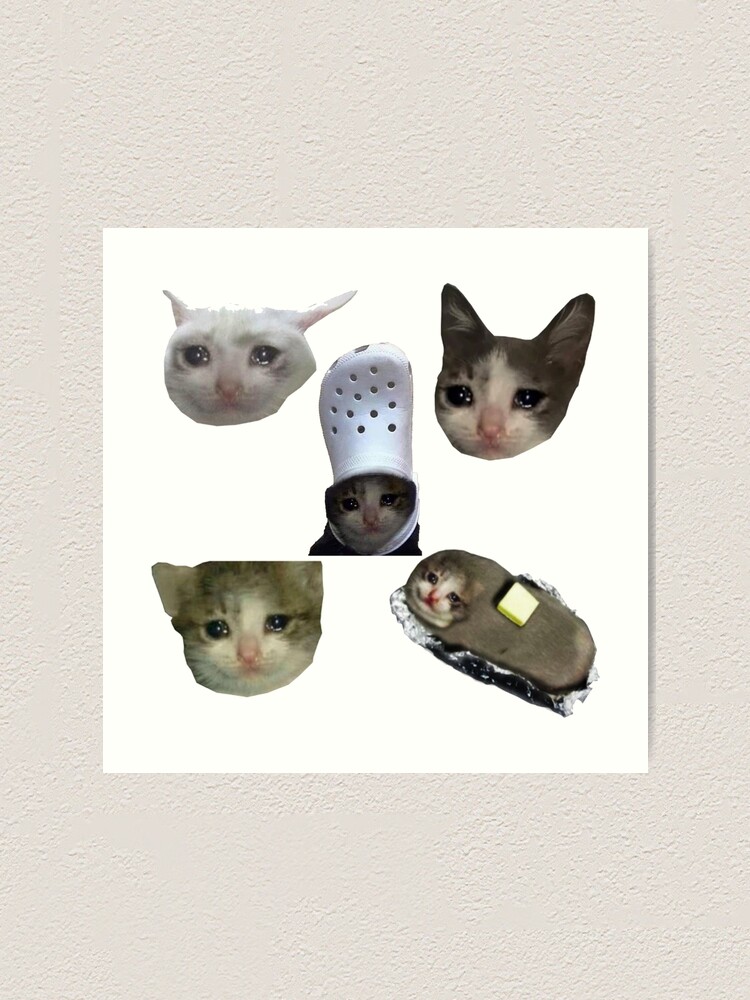 Pack of 7 Meme Crying Cat Stickers, Crying Cat Sticker Pack, for cat lovers