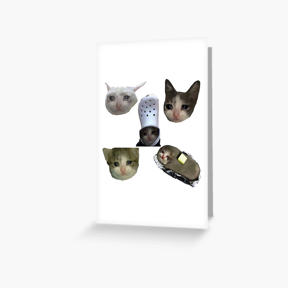 Crying Cat Croc Meme Sticker for Sale by bgsmall