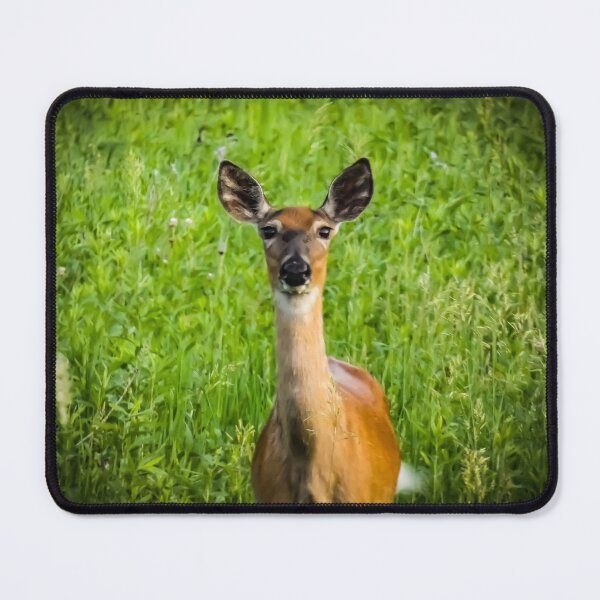 Item preview, Deer Head On By Brandon Cable designed and sold by BrandonArtWorld.