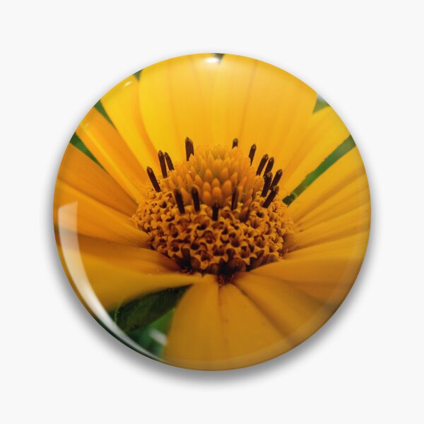 Artikelvorschau, Gelbe Blume von Brandon Cable entworfen und verkauft von BrandonArtWorld.