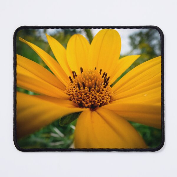 Item preview, Yellow Flower by Brandon Cable  designed and sold by BrandonArtWorld.
